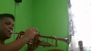 Lone Ranger theme song on trumpet [upl. by Anawahs893]