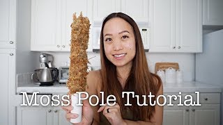 HOW TO MAKE A MOSS POLE FOR YOUR PLANTS [upl. by Htebsle110]