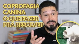 COPROFAGIA CANINA Descubra Se Tem Cura e O Que Fazer Para Resolver [upl. by Keefe]