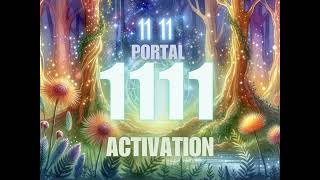 1111 Portal Activation Meditation Music [upl. by Blight]