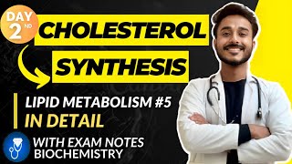 cholesterol metabolism biochemistry  cholesterol biochemistry  cholesterol synthesis pathway [upl. by Alfonse]