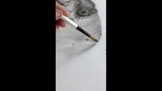 Drawing using Ceta Graphite Powder 150gsm [upl. by Aia741]