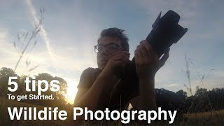 Wildlife Photography  5 Tips to get started [upl. by Ozneral695]