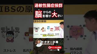 IBS原因：腸と脳の密接な関係によって引き起こされる事が多い。 腹痛＃IBS 過敏性腸症候群 ＃過敏性腸症候群原因 ＃Shorts [upl. by Hebe]