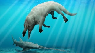 Researchers find fossil of a fourlegged landdwelling whale [upl. by Allen]