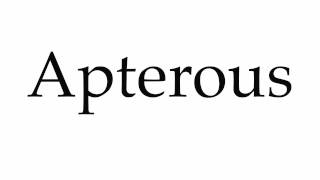 How to Pronounce Apterous [upl. by Yblocaj]