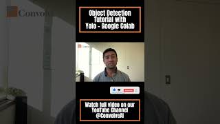 Object Detection Tutorial with Yolo  Google Colab [upl. by Riatsila921]