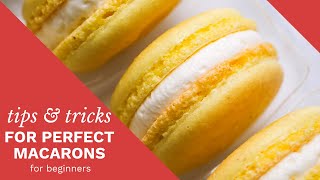 a complete guide to perfect macarons [upl. by Oulman407]