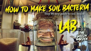 HOW TO MAKE SOIL BACTERIA  Step by Step Guide [upl. by Adamo]