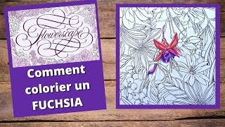 LIVE en duo avec Flos Colors  FLOWERSCAPE Partie 1  fleur de fuchsia  Maggie Enterios [upl. by Hasheem]