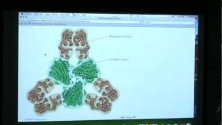 11 BB 350 Enzymes 4  Kevin Aherns Biochemistry Online [upl. by Keegan852]