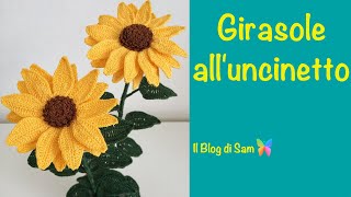 Spiegazione del Girasole alluncinetto [upl. by Urdna]