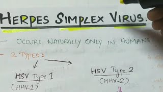 Herpes simplex viruses  Microbiology  Handwritten notes [upl. by Alemat]