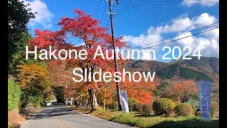 Hakone Autumn 2024 Slideshow [upl. by Teragramyram]