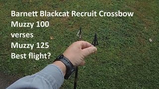 Barnett Blackcat Recruit Crossbow Muzzy 100 verses Muzzy 125 [upl. by Marjie]