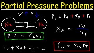 Daltons Law of Partial Pressure Problems Mole Fraction Chemistry Gas Laws [upl. by Conall]