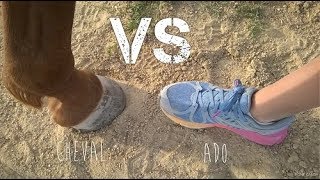 Puissance Cheval VS Ado [upl. by Buckie]