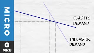 Elasticity of Demand [upl. by Thilde]