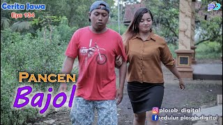 PANCEN BAJOL  Eps 134  Cerita Jawa [upl. by Naek716]