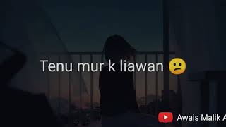 Mohabbat tujhe alvida Ost Whatsapp status  Afshan fawad [upl. by Ykcim863]