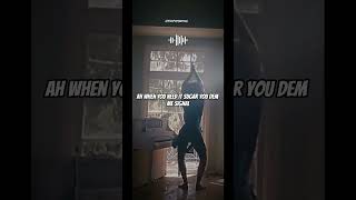 hide amp seek remix stormzy ft rema rema fypシ lyrics song entertainment lyricvideo stormzy [upl. by Heimlich653]