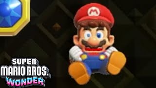 Super Mario Bros Wonder The FINAL Final Level [upl. by Kalie]