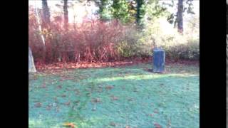 Gorsedd Stone Circle Dolerw Park Newtown [upl. by Nogras]