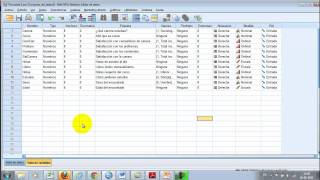 SPSS  Escalas de Medición [upl. by Silma835]