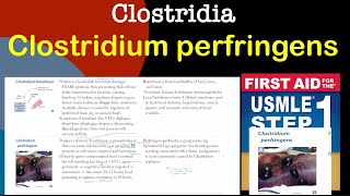 Clostridium perfringens in HindiUrdu by first aid for USMLE step 1 [upl. by Greenwell237]