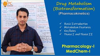 Pharmacokinetics Part 6 Drug Metabolism Biotransformation  Phase 1 amp Phase 2 Drug Metabolism [upl. by Vial210]