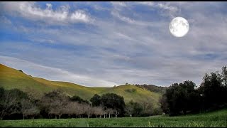 Gardening By The Phases Of The Moon aka Lunar Gardening [upl. by Wettam]