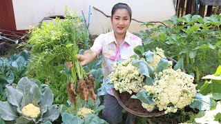 Country chefs Harvest cauliflower and carrot for cooking  Country food cooking [upl. by Allys866]