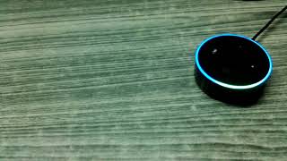 Playing hindi and telugu songs with Amazon Alexa Echo dot [upl. by Micah]