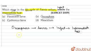 Which stage in the life cycle of Taenia solium insects the intermediate host [upl. by Anaujait]