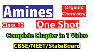 amines class 12 one shot  organic chemistry Class 12th CBSE State Board NEET [upl. by Dennard233]