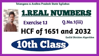 10th Class Maths  HCF of 1651 and 2032  Exercise 11  QNo1iii  REAL NUMBERS  TS amp AP [upl. by Carlynn]