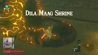 Dila Maag Shrine Walkthrough  The Legend of Zelda Breath of the Wild [upl. by Brawner452]