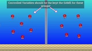 Variables in Science Independent Dependent and Controlled [upl. by Analahs343]