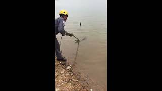 Pescador fisga jacaré em lagoa de Lagoa Santa [upl. by Medorra]