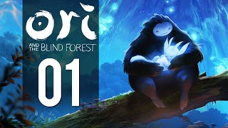 Ori and the Blind Forest Intro PC 1080p 60fps [upl. by Amato126]