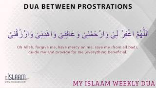 Dua between prostrations  Islamic Duas amp Supplications from Hadith [upl. by Mcgray136]