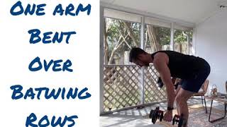 One arm bent over batwing rows  Batwing Row Variations [upl. by Hayimas]