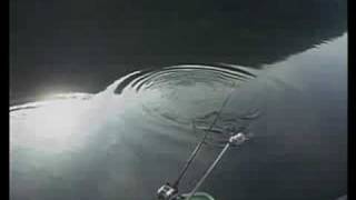 Walleye fishing southern style trolling deep in summer [upl. by Ebbie438]