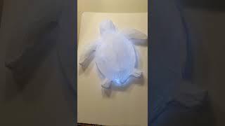 Paper sea creature nightlights have good vibes seacreature ocean paper goodvibes diy [upl. by Ecarret255]