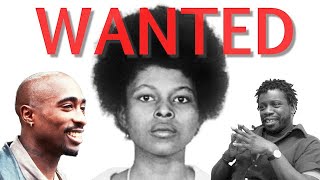 Why TUPACs Stepfather BROKE Assata Shakur Out of PRISON [upl. by Eckart]