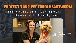 Protect Your Pet from Heartworm  15 Heartworm Test Special at Rouse Hill Family Vets [upl. by Roye]