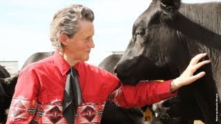 Temple Grandin The World Needs All Kinds of Minds Part 1 of 3 [upl. by Elon]