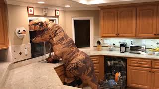 T REX CLEANS UP AFTER DINNER [upl. by Agnimod]