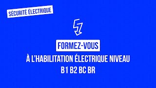 Formation habilitation électrique  B1 B2 BC BR [upl. by Favata]