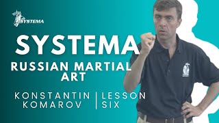 Systema Russian Martial Art Lesson 6 Fear By Konstantin Komarov [upl. by Eiramik389]